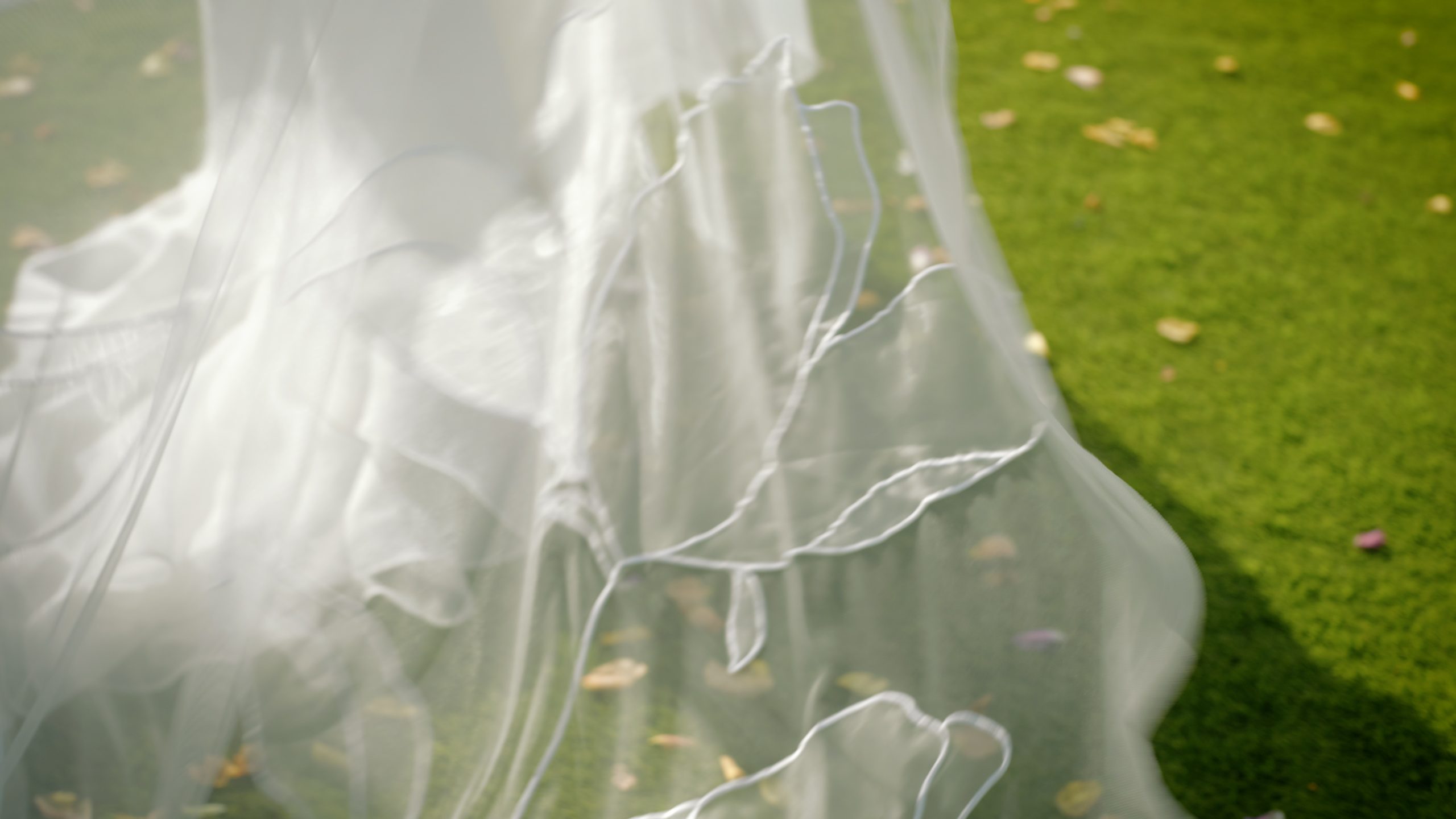 wedding veil